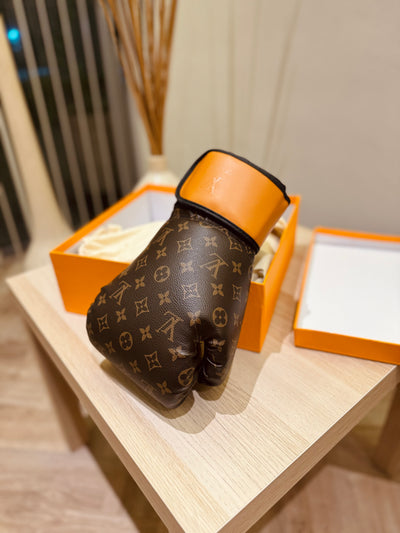 Box Gloves LV